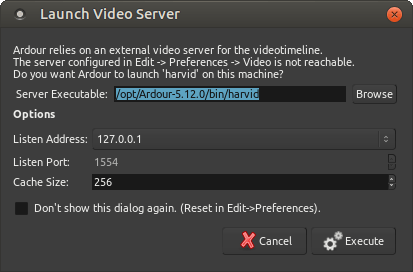 The Launch Video Server dialog