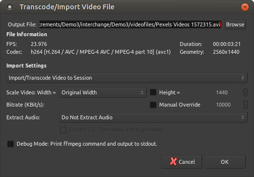 The Transcode/Import Video dialog